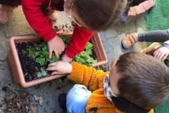 149738827_2764610773778366_5105295300485696794_n