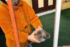 149979601_2764611003778343_7242292096296925595_n