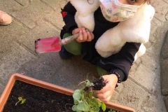 150140857_2764610640445046_2064839950937144889_n