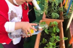 150150982_2764610997111677_7553173069157640238_n