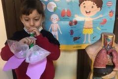 1c835e94-d128-483e-8658-43ab51c9bbcb