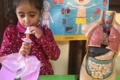 a7e2b9c5-ad07-46c1-a0a4-bb494046d7d1