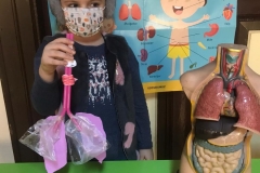 b25ca75e-1ba6-44fd-934e-e186b1255d2c