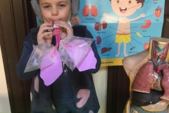 b2b2c19f-1e59-4676-bd54-52e9070a0f02