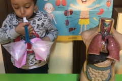 fd250f9b-2677-458d-80a1-108df800017c