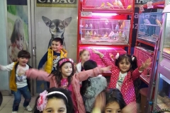 22221637_1932556113650507_7786484274625663823_n