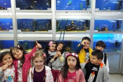 22228437_1932555820317203_6099251787455365615_n