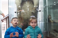 43134083_2142510875988362_5700160615339786240_n