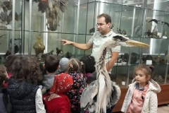 43159149_2142511205988329_8294114536189853696_n