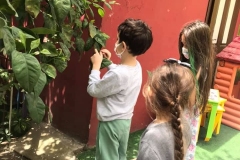 195464987_2844373202468789_2594075747713050790_n