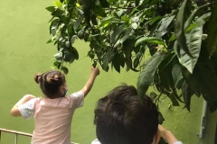 196379082_2844373499135426_6263800461882716468_n